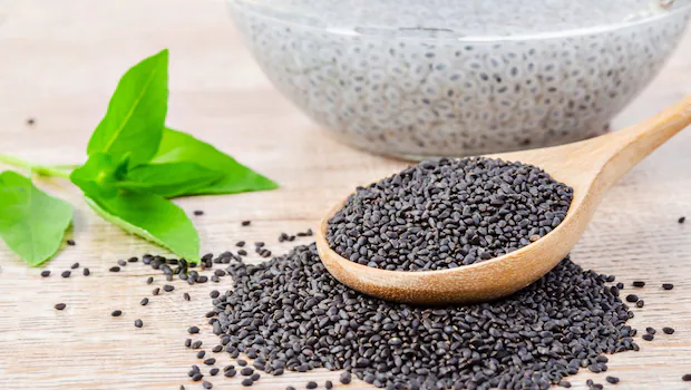 सबजा सीड्स (Basil Seeds): सेहत का खजाना छुपा है इन छोटे बीजों में