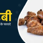Arbi-Ke-Fayde