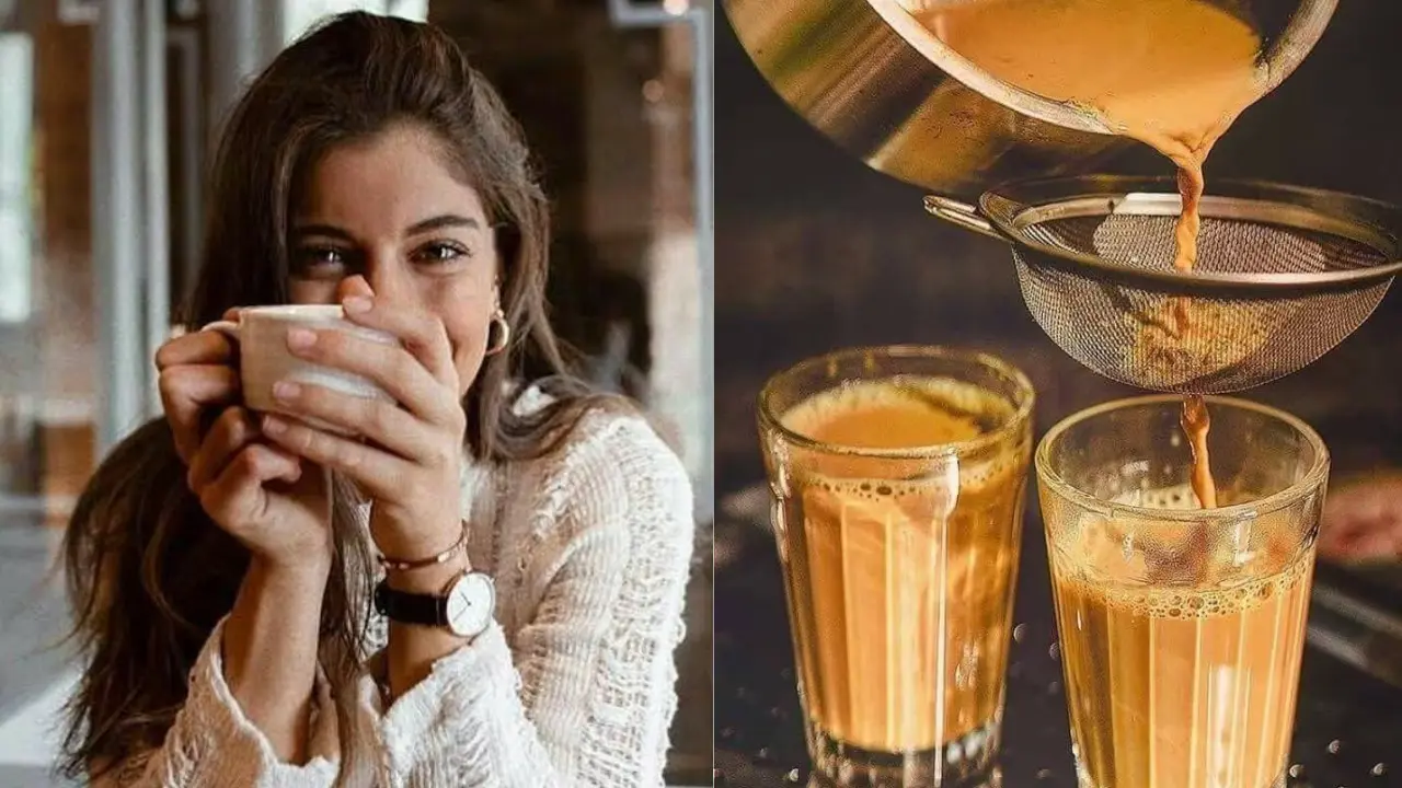 Tea-Lover
