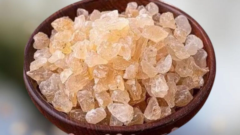गर्मियों में गोंद कतीरा का सेवन क्यों है फायदेमंद? जानिए इसके चमत्कारी लाभ और संभावित नुकसान