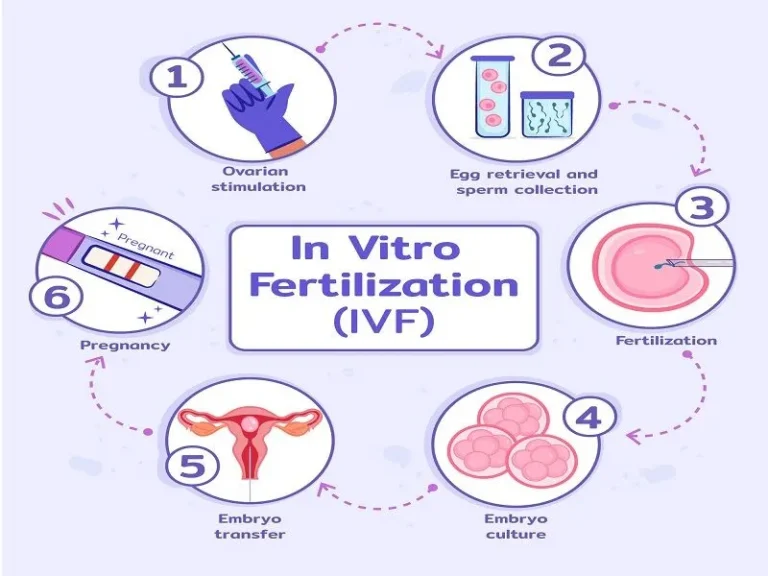 क्या IVF से मनचाहा बच्चा पैदा कर सकते हैं? जानिए सच्चाई और विज्ञान की सीमाएं